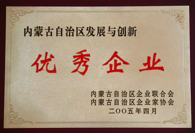 2005年內蒙古自治區發展與創新優秀企業